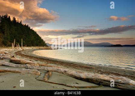 Stati Uniti d'America, Washington, le Isole San Juan. Sunrise a Spencer Spit parco dello stato su Lopez Island. Foto Stock