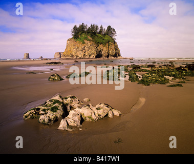 WA, il Parco Nazionale di Olympic, Seconda Spiaggia, tidepools e seastacks a bassa marea Foto Stock