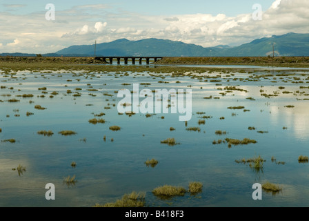 Stati Uniti d'America, WA, Skagit County, Anacortes. Tidal flats riflettono le nuvole e il cielo Foto Stock