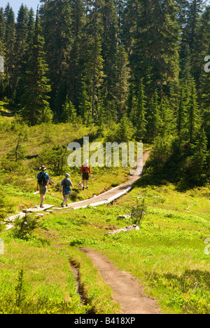 Stati Uniti d'America, WA, il Monte Baker Snoqualmie National Forest. Gli escursionisti e cane attraversare prato su Watson/Anderson sentiero dei laghi (MR) Foto Stock