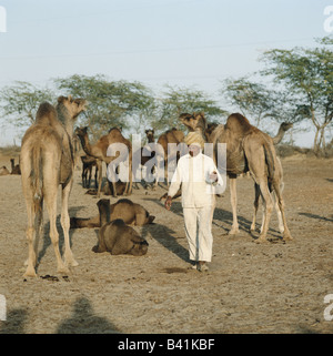 Custode del cammello con bicchiere di fresco del cammello di latte a Bikaner camel allevamento, nel deserto di Thar, Rajasthan, India Foto Stock