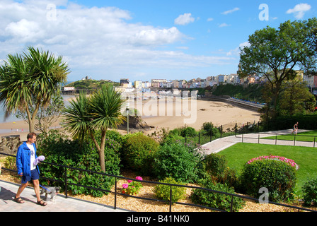 Porto e città vista da giardini, Tenby, Carmarthen Bay, Pembrokeshire, Wales, Regno Unito Foto Stock