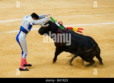 Banderillero stabs bull durante la corrida in Spagna Foto Stock