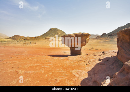 Naturalmente monumento sorto dalla pietra arenaria i funghi nel Parco di Timna in Israele Foto Stock