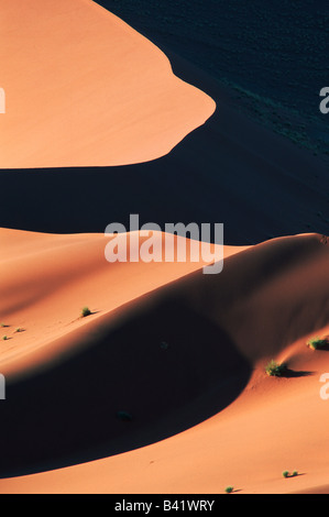 Le dune di sabbia in ultima luce Sossusvlei Namib Naukluft National Park Namibia Africa Foto Stock