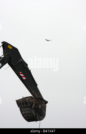 Il cucchiaio rovescio spostando lo sporco in una discarica dei rifiuti la gestione del sito con un tacchino avvoltoio volare nel cielo Foto Stock