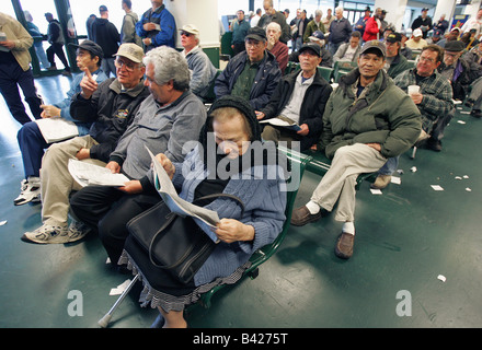 Una donna anziana che legge il racing form con altri spettatori a Suffolk Downs cavallo di razza in via di Boston Foto Stock