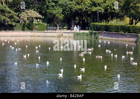 Due anziane signore parlare su una panchina nel parco in Londra, con oche e gabbiani su un laghetto, Sutton stagni, Sutton, Surrey, Regno Unito Foto Stock