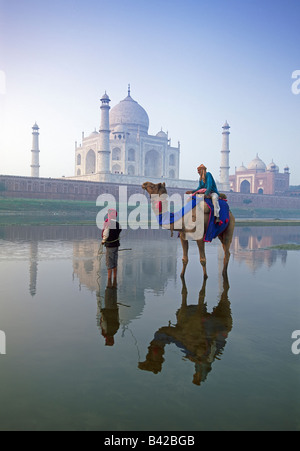 India, Uttar Pradesh, Taj Mahal, Camel nella parte anteriore del Taj Mahal e il fiume Yamuna, modello rilasciato Foto Stock