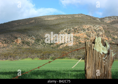 Una vista della montagna con un posto coperto di licheni in primo piano immediato Foto Stock