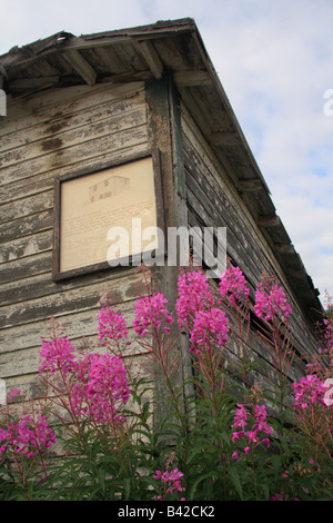 Fireweed (Tall Willowherb) in Yellowknife, Territori del Nord Ovest Foto Stock