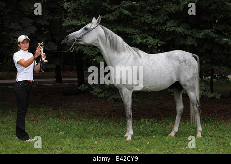 Il Trainer che mostra un stallone arabo Foto Stock