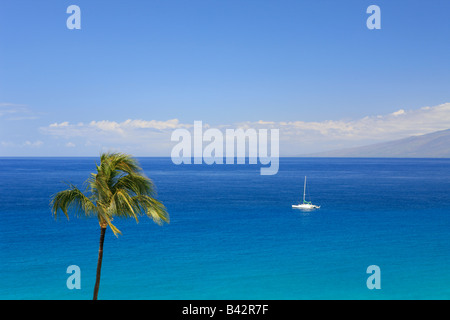 Fiancheggiata da palme sulla spiaggia Hawaii Maui Hawaii Pacifico USA Foto Stock