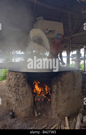 Un uomo brasiliano (fiume persone) prepara farofa (leggermente tostato) farina di manioca, un arbusto legnoso coltivate nella stagione secca. Foto Stock