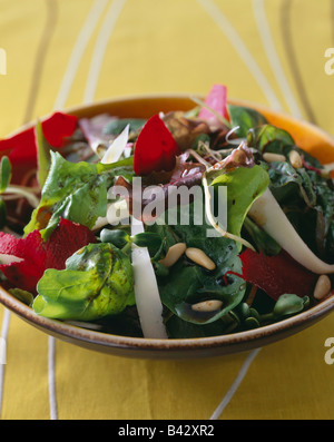 La barbabietola rossa,giovani germogli e pinoli insalata Foto Stock