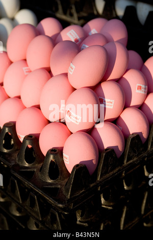 Rosa tailandese uova - uova di anatra Hard Boiled poi decapato in ammoniaca (interno nero) Foto Stock