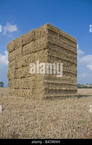 Grandi balle di paglia accatastati nel campo Foto Stock