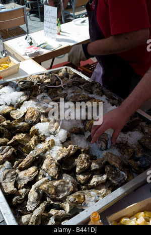 Scozzese fresco ostriche su un vassoio di ghiaccio in un salone del cibo, Brighton, Inghilterra Foto Stock