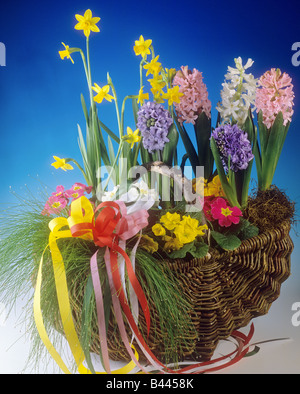 Diversi fiori in cesto Foto Stock
