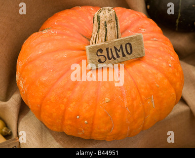 Premiato ortofrutticoli biologici sul display Foto Stock