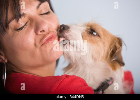 Cane leccare ispanico volto di donna Foto Stock