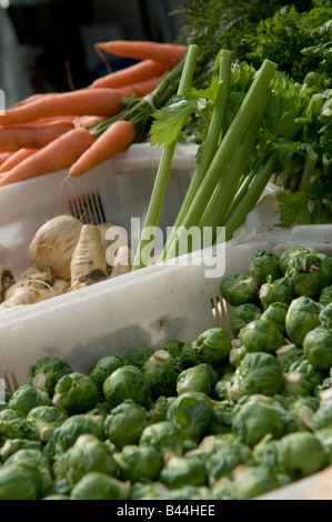 Verdure fresche in vendita Carote Sedani cavoletti di Bruxelles a Aberystwyth mercato degli agricoltori e il salone del cibo Wales UK Foto Stock