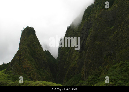 Treescapes Foto Stock