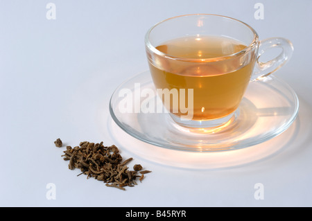 Valeriana (Valeriana sp.), radici essiccate e una tazza di tè, studio immagine Foto Stock