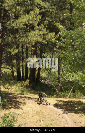 Mountain bike a Durango Colorado,USA Foto Stock