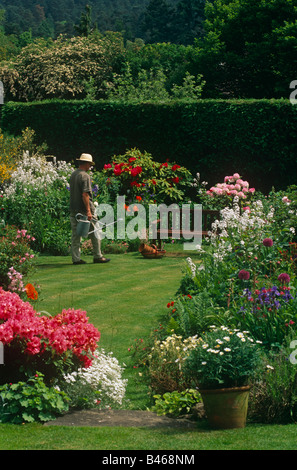 Giardiniere con annaffiatoio Prato molti fiori luminosi in Herbaceous borders confine Foto Stock