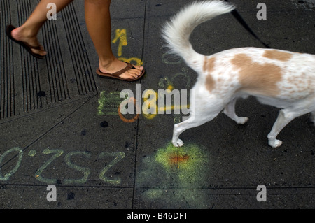 Una donna cammina il suo cane nel quartiere di Chelsea di New York venerdì 12 settembre 2008 Frances M Roberts Foto Stock