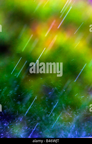 Pioggia che cade Foto Stock