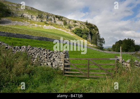 Kilnsey Crag, una funzione di calcare in alto Wharfedale, Yorkshire Dales Foto Stock