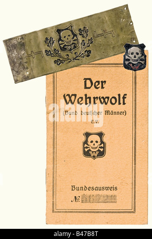 Weimar Republic, Der Wehrwolf (Associazione tedesca degli uomini), un banner, un chiodo di bandiera, e un libro di un membro Banner, presumibilmente per un gruppo locale. Panno nero e doppio in lana, con teschio applicato e ossa incrociate, Croce di ferro 1914 e due cifanti rossi "W" (Wehrwolf). Dimensioni del tessuto 124 x 184 cm. Lieve danno alla falena. Un chiodo a bandiera in lamiera di ottone stampata, 100 x 35 mm con l'emblema Wehrwolf e due rune wolfangel. C'è anche un libro per il Großgörschen Subdistretto/regione di Merseburg, Kötschau Gruppo locale, iniziato nel 1924 con un pin di appartenenza smaltato (danneggiato). , Foto Stock