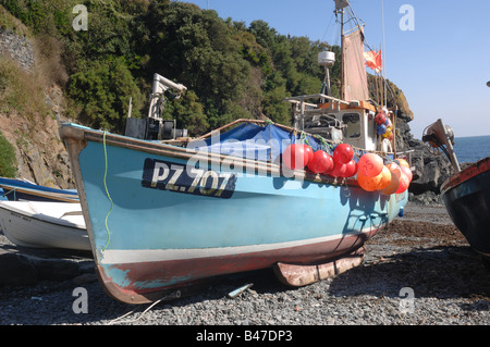 Barca da pesca, Cadgwith, Cornwall Foto Stock