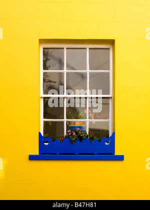 Blu brillante window box al di sotto di una finestra in un giallo brillante parete Foto Stock