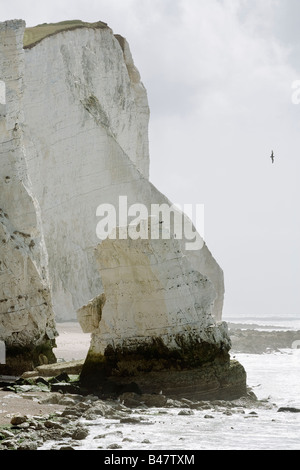 Testa di Seaford Foto Stock