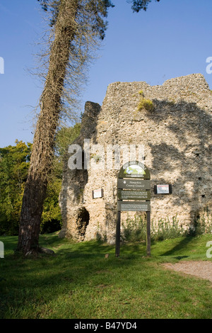 Odiham Castello (anche noto localmente come Re John's Castle) è un castello in rovina situato vicino a Odiham nel Hampshire, Regno Unito. Foto Stock