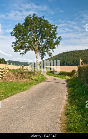 Avvolgimento di vuoto vicolo del paese vicino villaggio Trostre Monmouthshire Galles del Sud Foto Stock