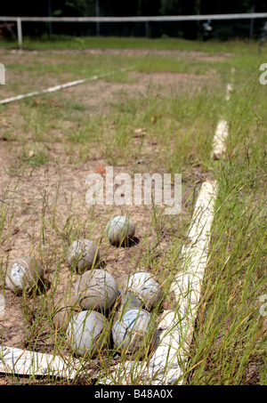 Marciume le palline da tennis su un trascurato clay court Foto Stock