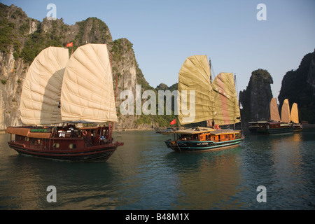 Giunche da sulla baia di Halong, Vietnam Foto Stock