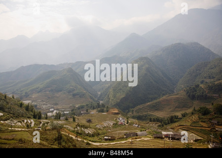 Terrazze di riso sulle pendici del Catcat Villaggio Culturale vicino a Sapa Vietnam Foto Stock