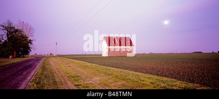 Ore del sorgere su un fienile e un campo di grano in central Illinois Foto Stock