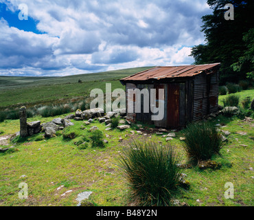 Un vecchio capannone di ferro corrugato presso la Teignhead Farm vicino a Postbridge nel Dartmoor National Park, Inghilterra. Foto Stock