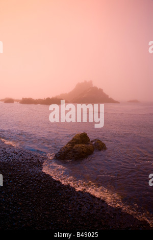 Nebbia di mattina lungo la spiaggia Cobel, Yaquina Capo, Oregon Coast, STATI UNITI D'AMERICA Foto Stock