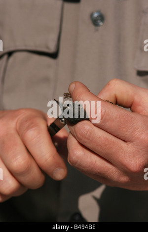 Song bird netting dimostrazione Foto Stock