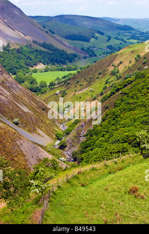 Afon Twymyn River Gorge Dylife POWYS, GALLES Gran Bretagna Regno Unito 2008 Foto Stock