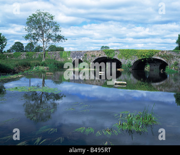 Acqua fresca sul fiume Meandro verso il Fiume Nore, ponte stradale riflessa sul fiume calmo, la bellezza della natura, Foto Stock