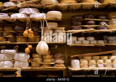 Selezione di ottimi formaggi in vendita Foto Stock