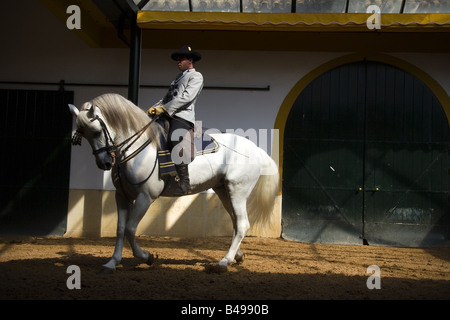 La Regio Maneggio città di Jerez de la Frontera in Andalusia Spagna Foto Stock